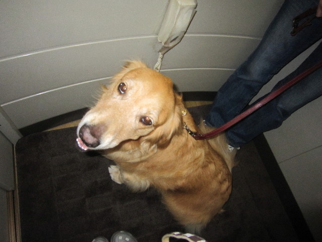 ファイル 1835-3.jpg