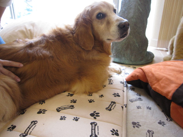 ファイル 1837-2.jpg