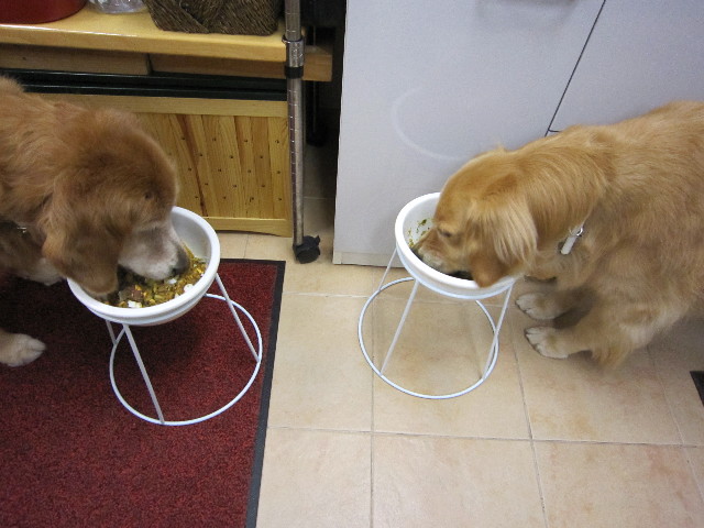 ファイル 1838-5.jpg