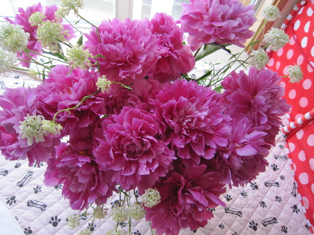 ファイル 1839-1.jpg