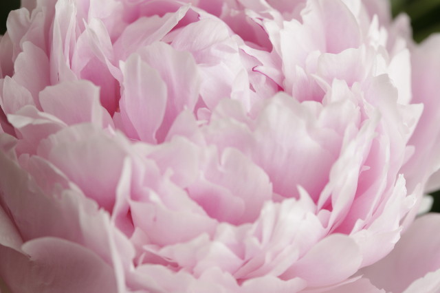 ファイル 1839-2.jpg