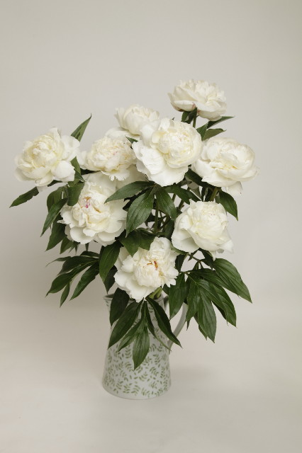 ファイル 1839-3.jpg