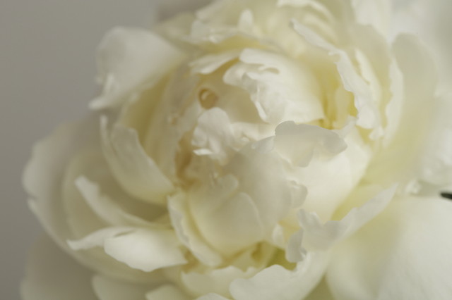 ファイル 1839-4.jpg