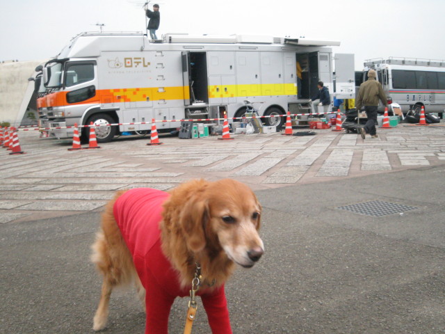 ファイル 184-1.jpg