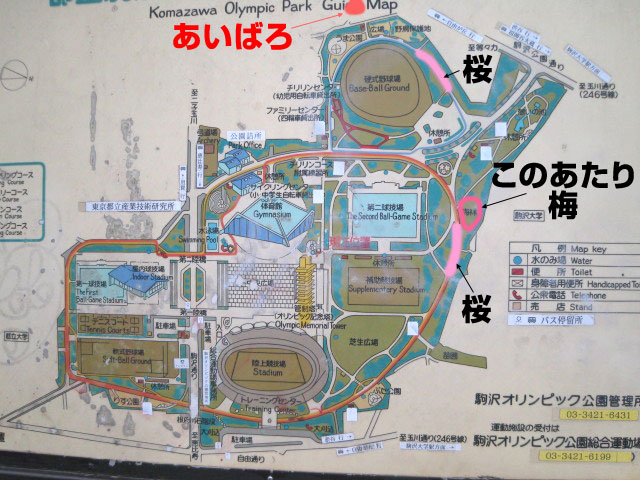 ファイル 184-2.jpg