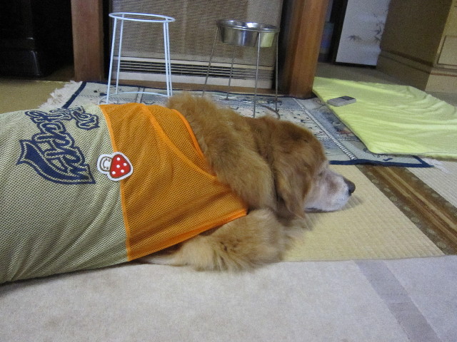 ファイル 1841-1.jpg