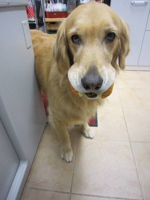 ファイル 1843-1.jpg