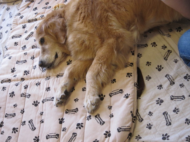 ファイル 1843-3.jpg