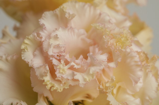 ファイル 1844-3.jpg