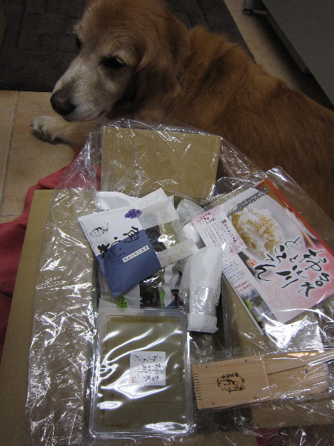 ファイル 1845-1.jpg