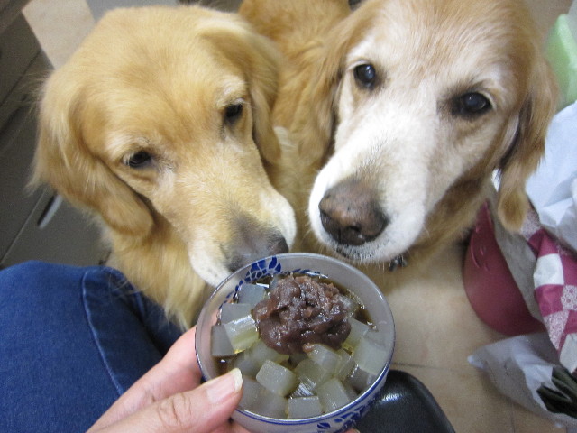 ファイル 1845-4.jpg