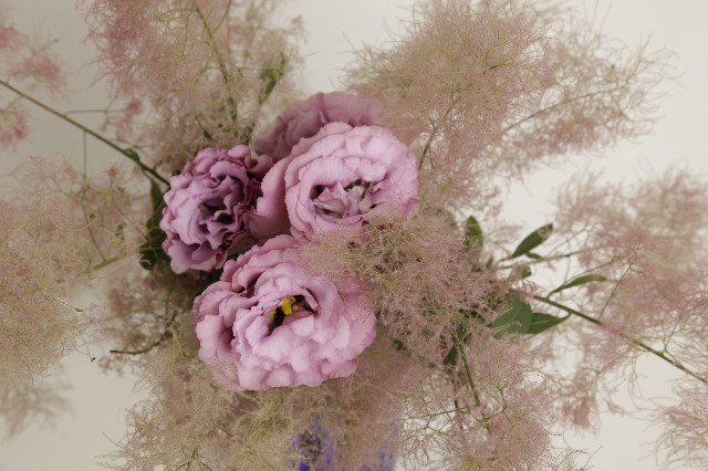 ファイル 1846-3.jpg