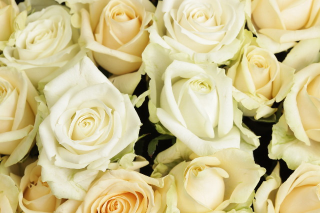 ファイル 1846-4.jpg