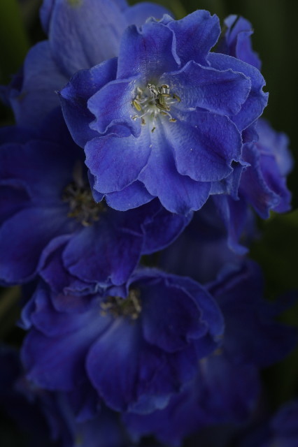 ファイル 1846-5.jpg