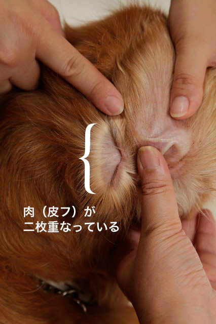 ファイル 1847-3.jpg