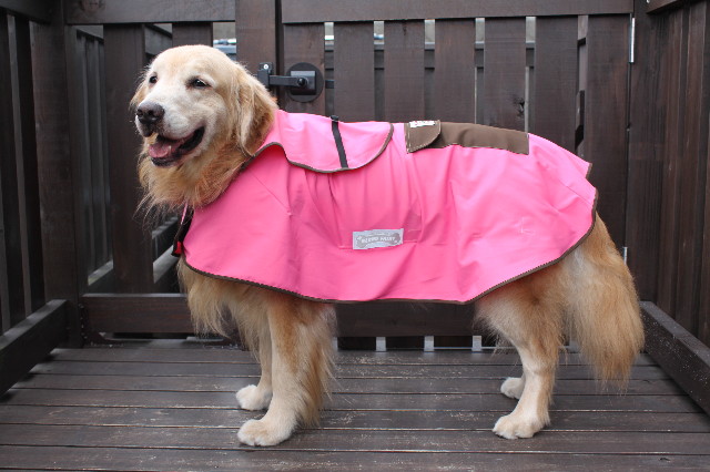 ファイル 1848-4.jpg