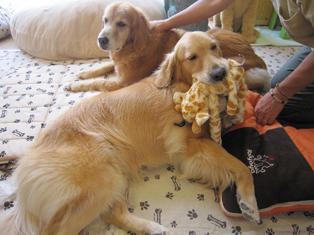 ファイル 1849-3.jpg