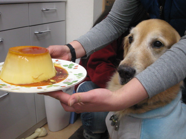 ファイル 185-2.jpg