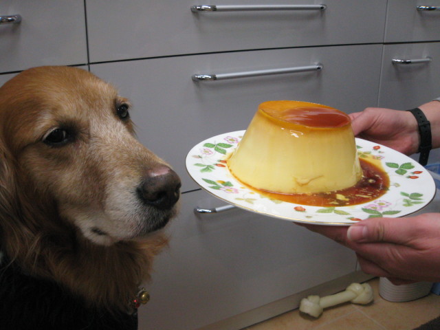 ファイル 185-3.jpg