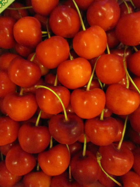 ファイル 1852-5.jpg