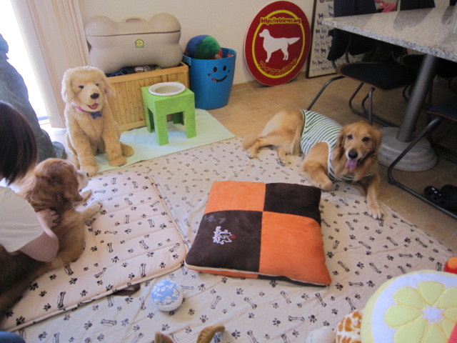 ファイル 1853-4.jpg