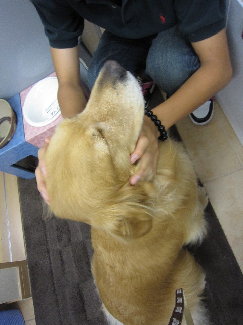 ファイル 1854-2.jpg