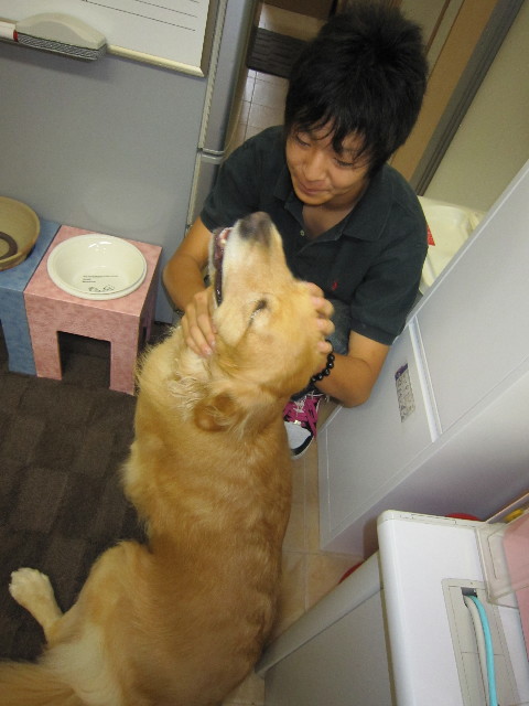 ファイル 1854-3.jpg