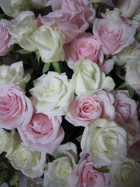 ファイル 1854-5.jpg