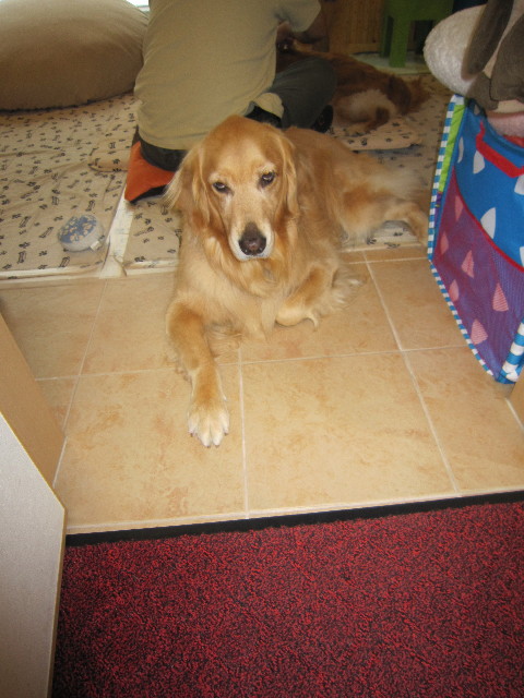 ファイル 1856-2.jpg