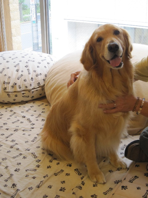 ファイル 1856-3.jpg