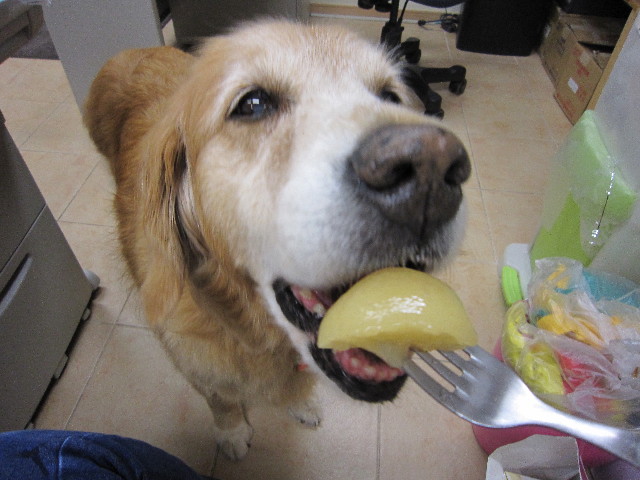 ファイル 1856-4.jpg