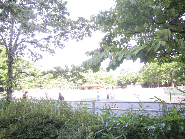 ファイル 1859-3.jpg