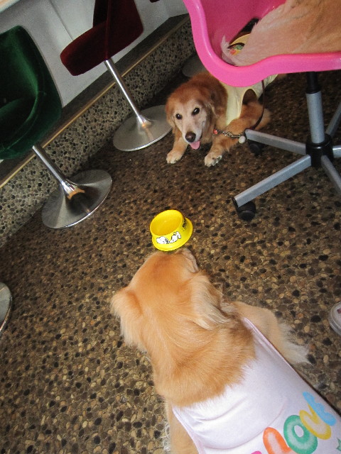 ファイル 1859-4.jpg