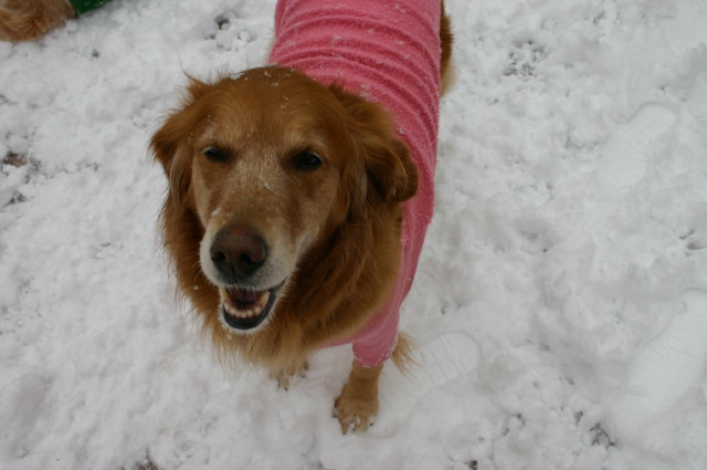 ファイル 186-2.jpg