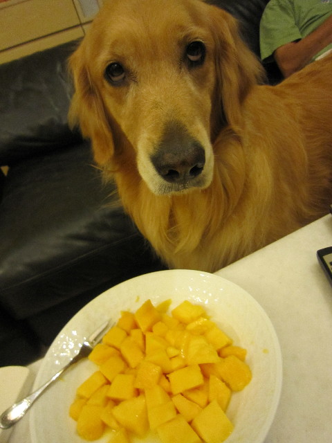 ファイル 1860-1.jpg