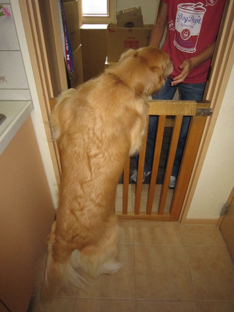 ファイル 1860-3.jpg