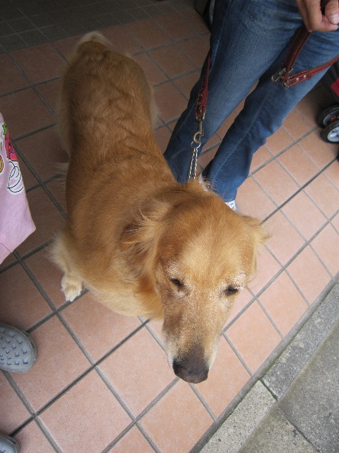 ファイル 1860-4.jpg