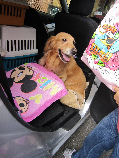 ファイル 1860-5.jpg