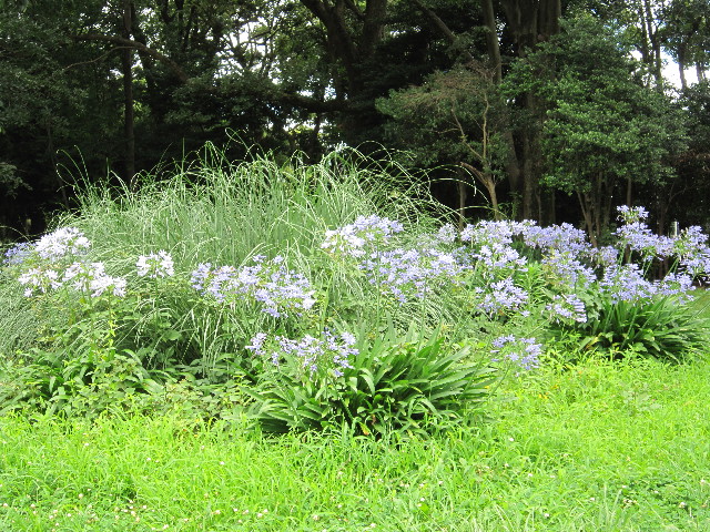 ファイル 1861-5.jpg