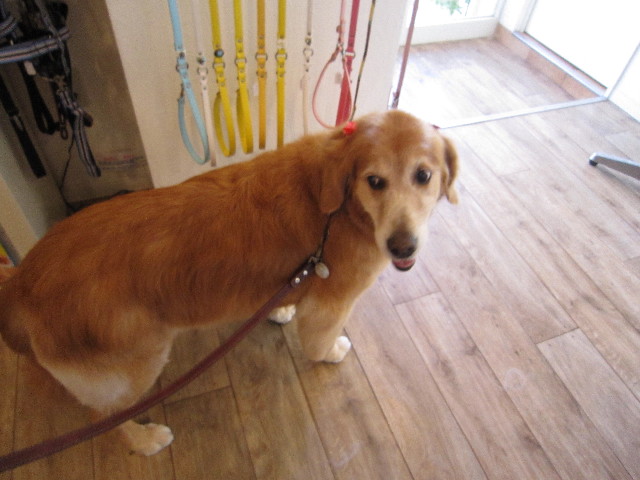 ファイル 1862-2.jpg