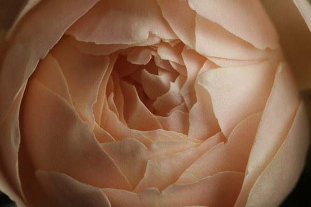 ファイル 1864-5.jpg