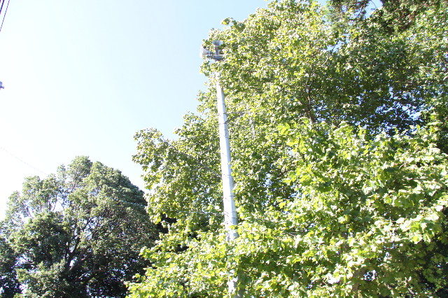 ファイル 1866-1.jpg