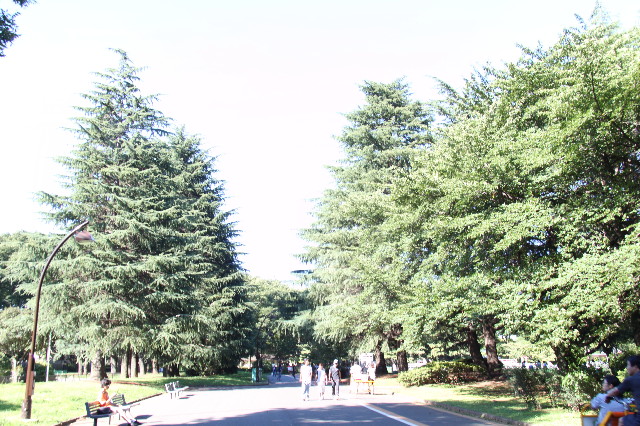 ファイル 1866-2.jpg