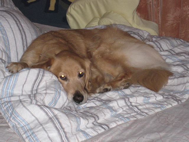 ファイル 1868-5.jpg