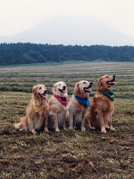 ファイル 187-5.jpg