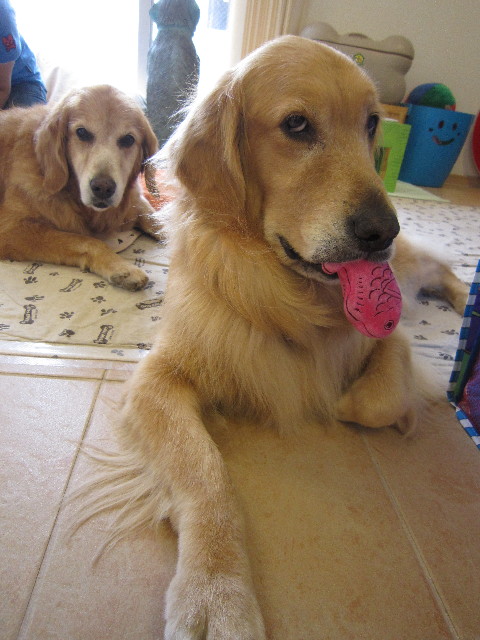 ファイル 1874-3.jpg