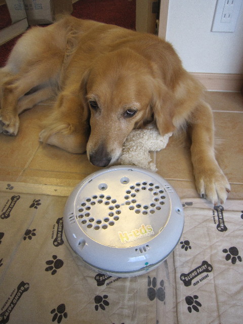 ファイル 1874-4.jpg