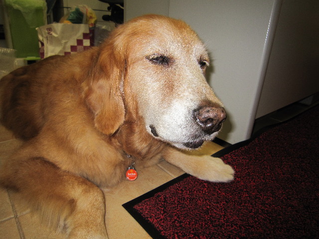 ファイル 1875-5.jpg