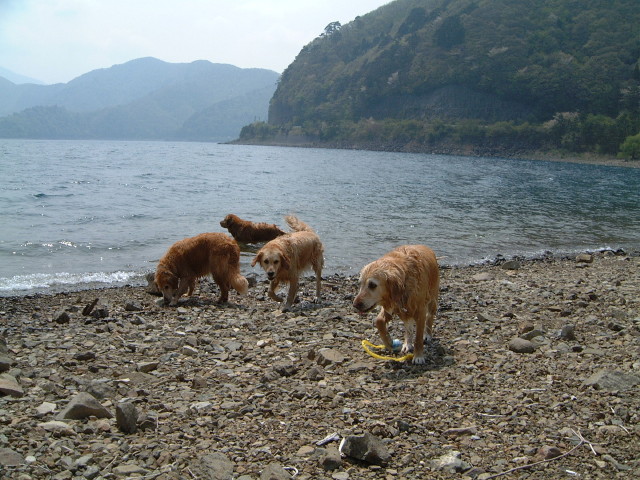 ファイル 188-2.jpg