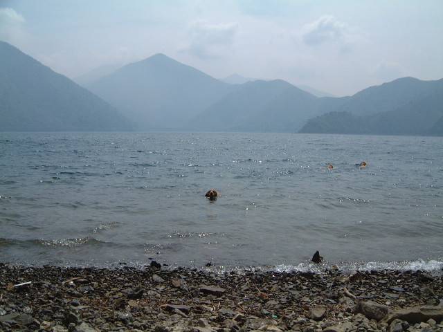 ファイル 188-5.jpg